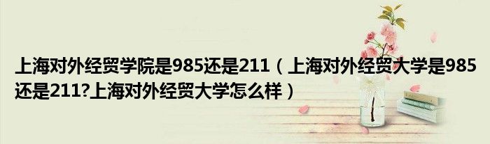 上海对外经贸学院是985还是211（上海对外经贸大学是985还是211?上海对外经贸大学怎么样）