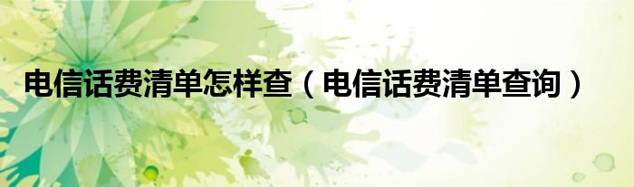 电信话费清单怎样查（电信话费清单查询）