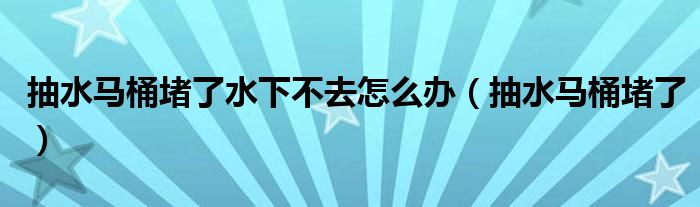 抽水马桶堵了水下不去怎么办（抽水马桶堵了）