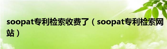 soopat专利检索收费了（soopat专利检索网站）