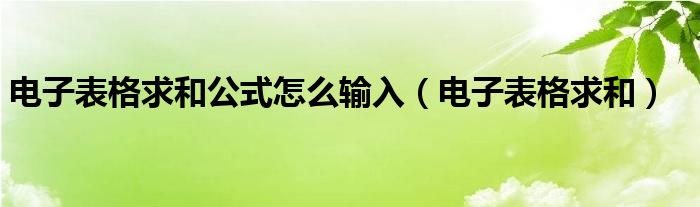 电子表格求和公式怎么输入（电子表格求和）