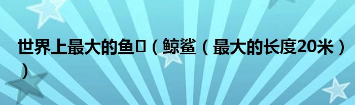 世界上最大的鱼​（鲸鲨（最大的长度20米））