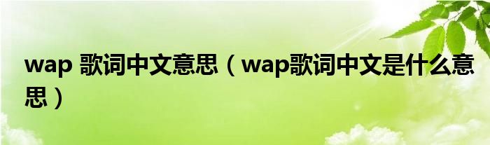 wap 歌词中文意思（wap歌词中文是什么意思）