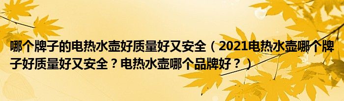 哪个牌子的电热水壶好质量好又安全（2021电热水壶哪个牌子好质量好又安全？电热水壶哪个品牌好？）