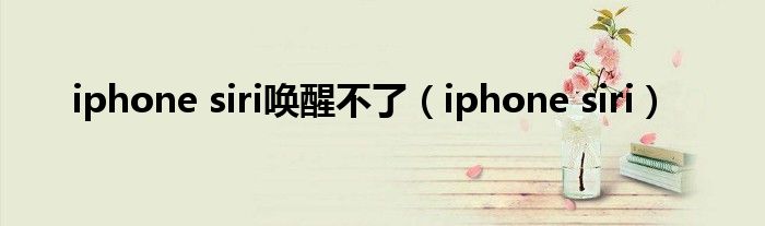 iphone siri唤醒不了（iphone siri）