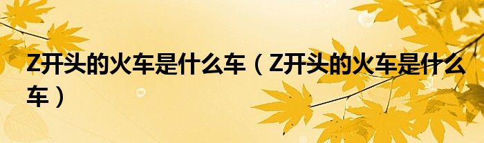 Z开头的火车是什么车（Z开头的火车是什么车）