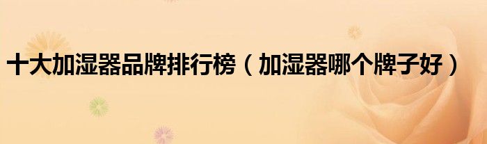 十大加湿器品牌排行榜（加湿器哪个牌子好）