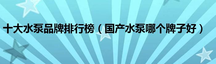十大水泵品牌排行榜（国产水泵哪个牌子好）