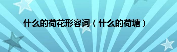 什么的荷花形容词（什么的荷塘）