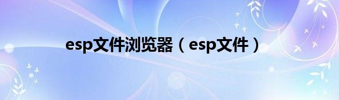 esp文件浏览器（esp文件）