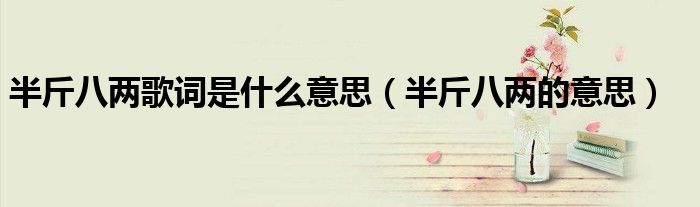 半斤八两歌词是什么意思（半斤八两的意思）
