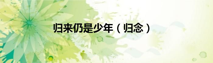 归来仍是少年（归念）