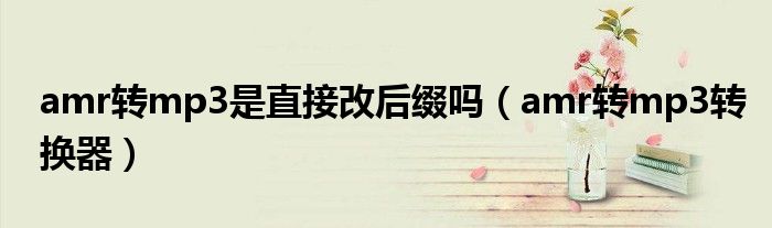amr转mp3是直接改后缀吗（amr转mp3转换器）