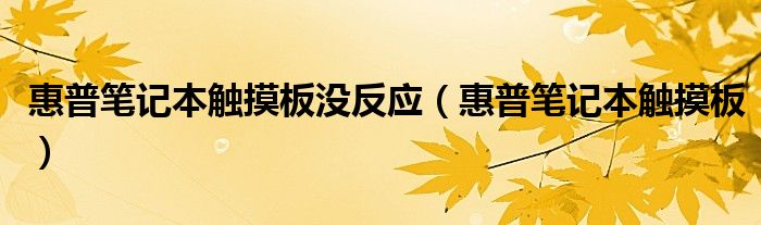 惠普笔记本触摸板没反应（惠普笔记本触摸板）