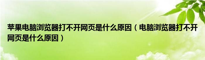 苹果电脑浏览器打不开网页是什么原因（电脑浏览器打不开网页是什么原因）