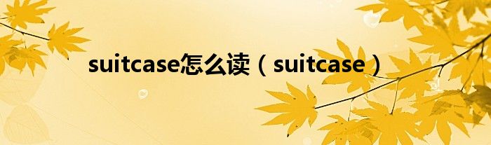 suitcase怎么读（suitcase）