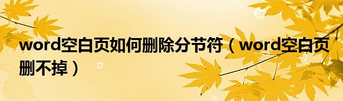 word空白页如何删除分节符（word空白页删不掉）