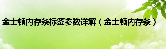 金士顿内存条标签参数详解（金士顿内存条）
