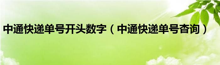 中通快递单号开头数字（中通快递单号杳询）