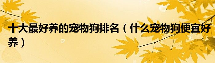 十大最好养的宠物狗排名（什么宠物狗便宜好养）