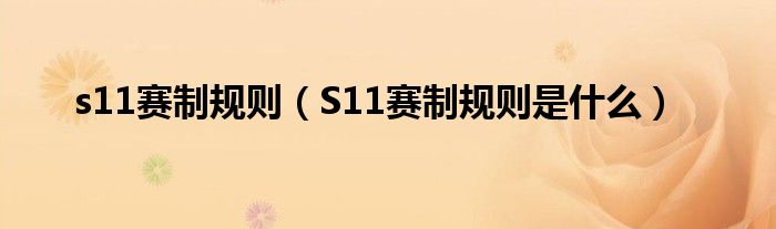 s11赛制规则（S11赛制规则是什么）