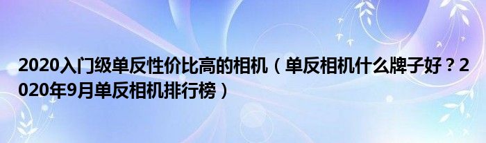 2020入门级单反性价比高的相机（单反相机什么牌子好？2020年9月单反相机排行榜）