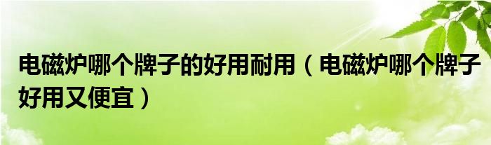 电磁炉哪个牌子的好用耐用（电磁炉哪个牌子好用又便宜）