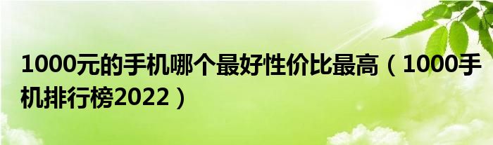 1000元的手机哪个最好性价比最高（1000手机排行榜2022）
