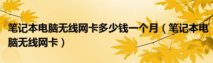 笔记本电脑无线网卡多少钱一个月（笔记本电脑无线网卡）