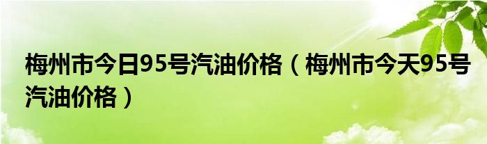 梅州市今日95号汽油价格（梅州市今天95号汽油价格）
