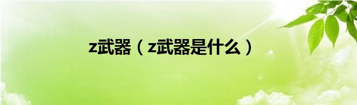 z武器（z武器是什么）