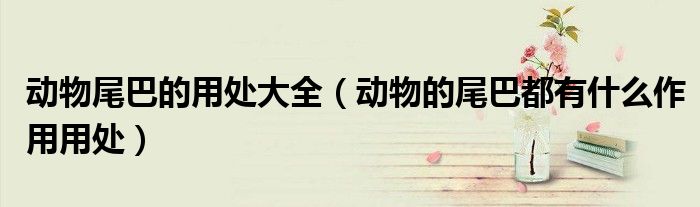动物尾巴的用处大全（动物的尾巴都有什么作用用处）