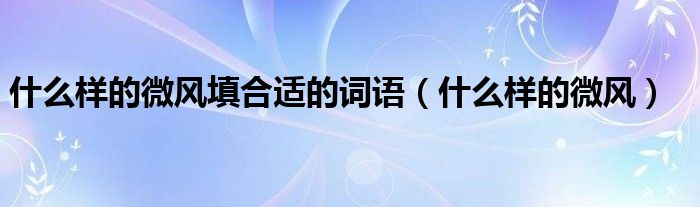 什么样的微风填合适的词语（什么样的微风）