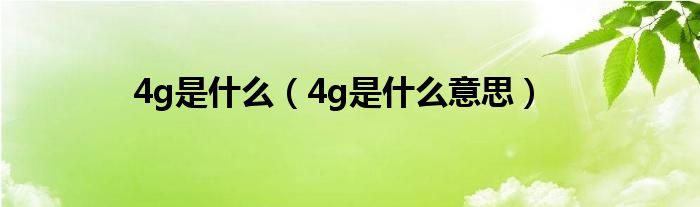 4g是什么（4g是什么意思）