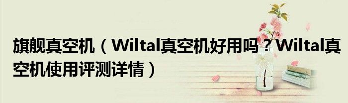 旗舰真空机（Wiltal真空机好用吗？Wiltal真空机使用评测详情）