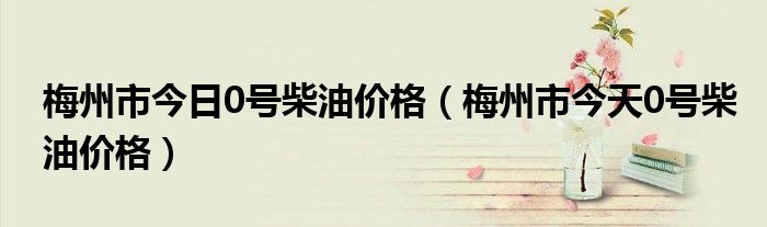 梅州市今日0号柴油价格（梅州市今天0号柴油价格）