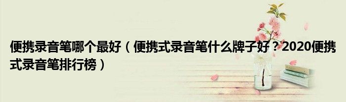 便携录音笔哪个最好（便携式录音笔什么牌子好？2020便携式录音笔排行榜）