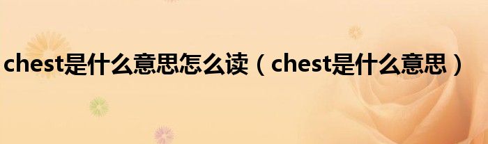chest是什么意思怎么读（chest是什么意思）