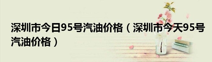 深圳市今日95号汽油价格（深圳市今天95号汽油价格）