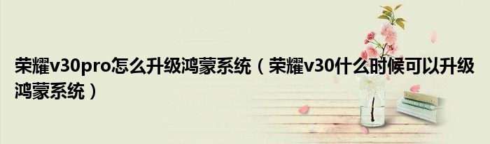 荣耀v30pro怎么升级鸿蒙系统（荣耀v30什么时候可以升级鸿蒙系统）