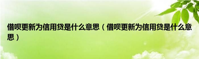 借呗更新为信用贷是什么意思（借呗更新为信用贷是什么意思）