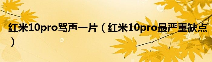 红米10pro骂声一片（红米10pro最严重缺点）