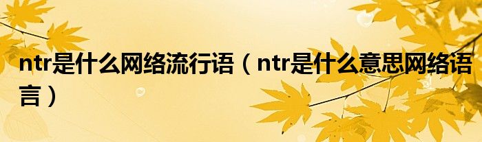 ntr是什么网络流行语（ntr是什么意思网络语言）