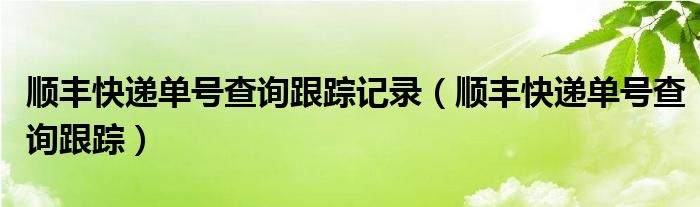 顺丰快递单号查询跟踪记录（顺丰快递单号查询跟踪）