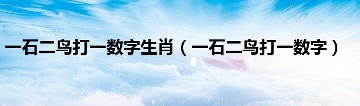 一石二鸟打一数字生肖（一石二鸟打一数字）