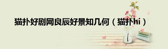 猫扑好剧网良辰好景知几何（猫扑hi）