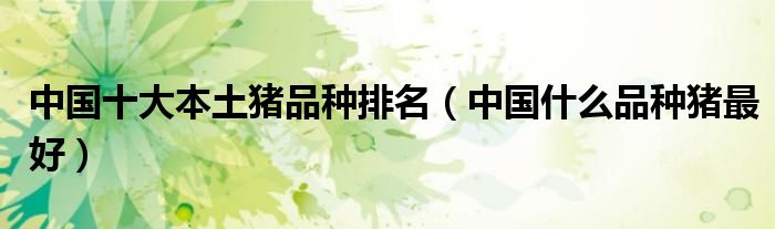 中国十大本土猪品种排名（中国什么品种猪最好）