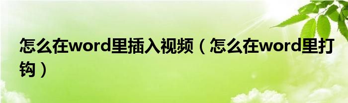 怎么在word里插入视频（怎么在word里打钩）