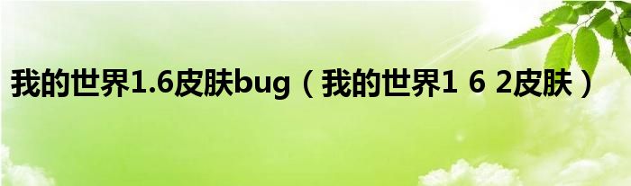 我的世界1.6皮肤bug（我的世界1 6 2皮肤）