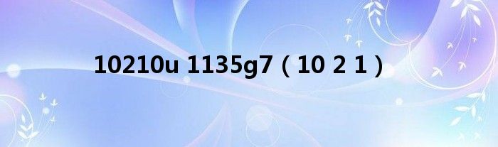10210u 1135g7（10 2 1）